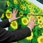 Thumbnail-Photo: MultiTouch at ISE