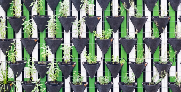 Photo: Carrefour announces its first vertical garden at...