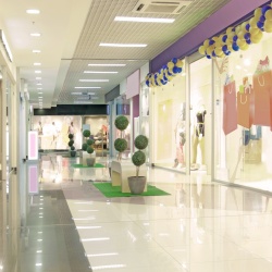 Thumbnail-Photo: Showroom-like stores could overthrow the basis for retail rents...