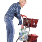 Thumbnail-Photo: Pick-up trolley and GT26 shopping basket