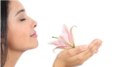 Ambient scents help calm shoppers