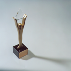 Thumbnail-Photo: Toshiba Awarded Gold Stevie for Best Overall Web Design...
