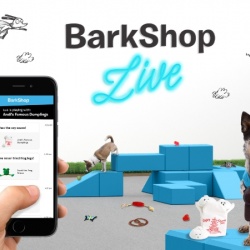 Thumbnail-Photo: Introducing BarkShop Live