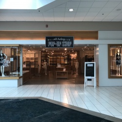 Thumbnail-Photo: Old Hickory Mall launches pop up shop for local merchants...