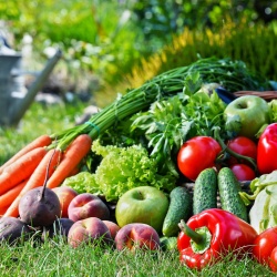 Thumbnail: Foto: Bio-Umsatz knackt 10 Milliarden Euro