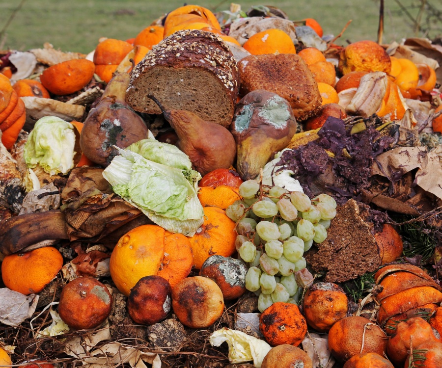 Photo: Solving the massive food waste problem