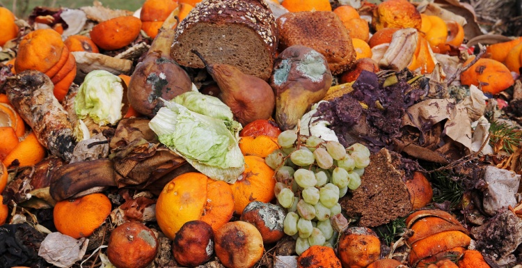 Discarded food; copyright: panthermedia.net / Astrid Gast...