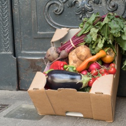 Thumbnail: Foto: Lebensmittelrettung: Ökologisch, sozial und ressourcenschonend...