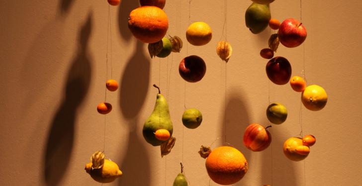 Fruits like apples hanging from the ceiling