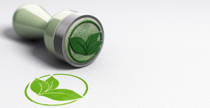 A green stamp that has printed a leaf on a paper
