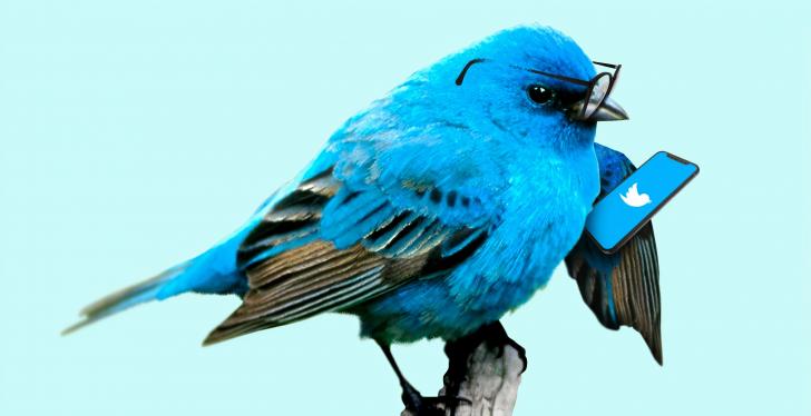 A blue bird with glasses is looking at a smartphone with the twitter social...