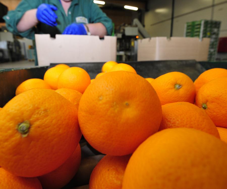 Photo: Examining working environments in warehouses...