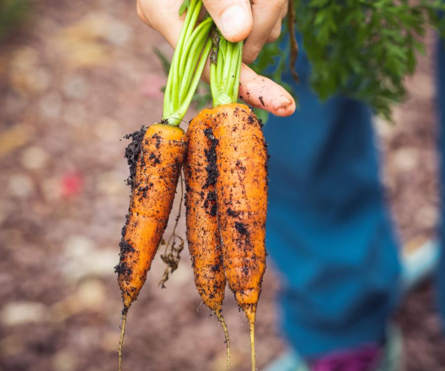 Photo: Ensuring freshness in food retail from farm to plate...