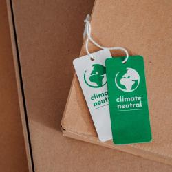 Thumbnail-Photo: Eco-friendly shopping spree: Shop til you drop - thanks to Omnichannel...