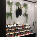 A black cardboard unicorn head between hanging plants on a wall above a goods...