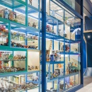 Glass displays and shelves in a game store