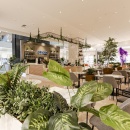 A bright bistro with lots of plants