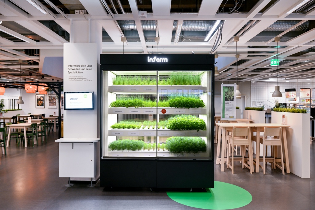 Various herbs in a special cabinet for cultivation