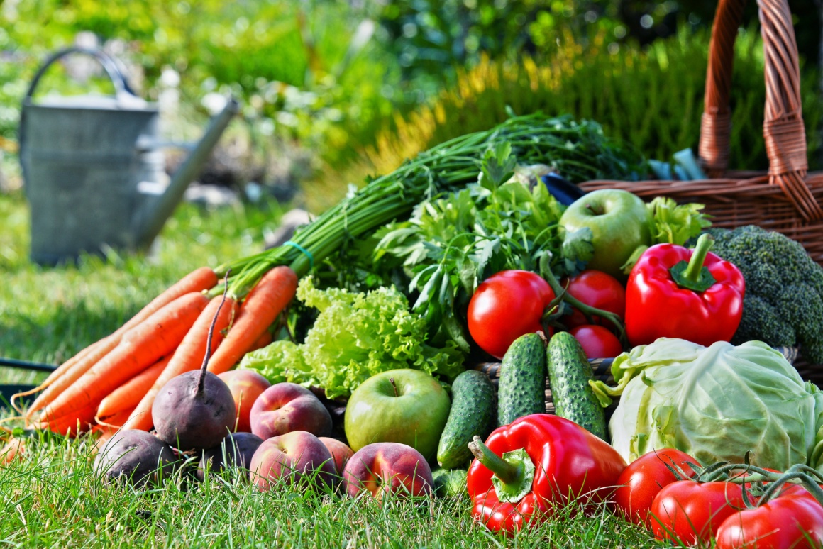 Foto: Verschiedene Obst- und Gemüsesorten auf einer Wiese ; copyright:...