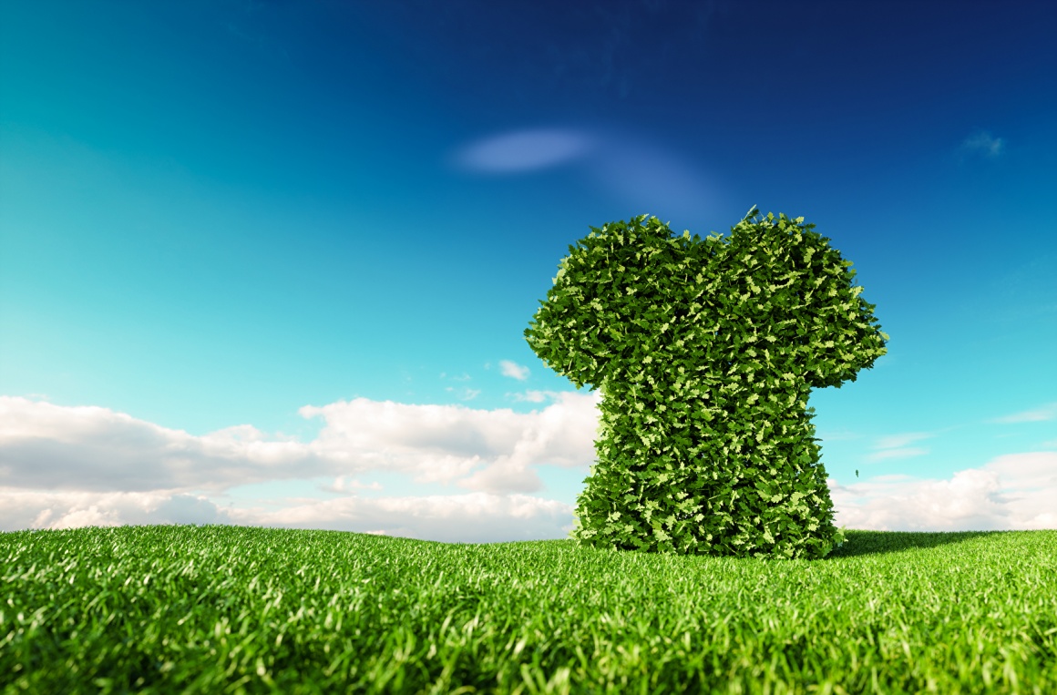 Outdoor background with sky and grass, leaves in form of a big t-shirt;...