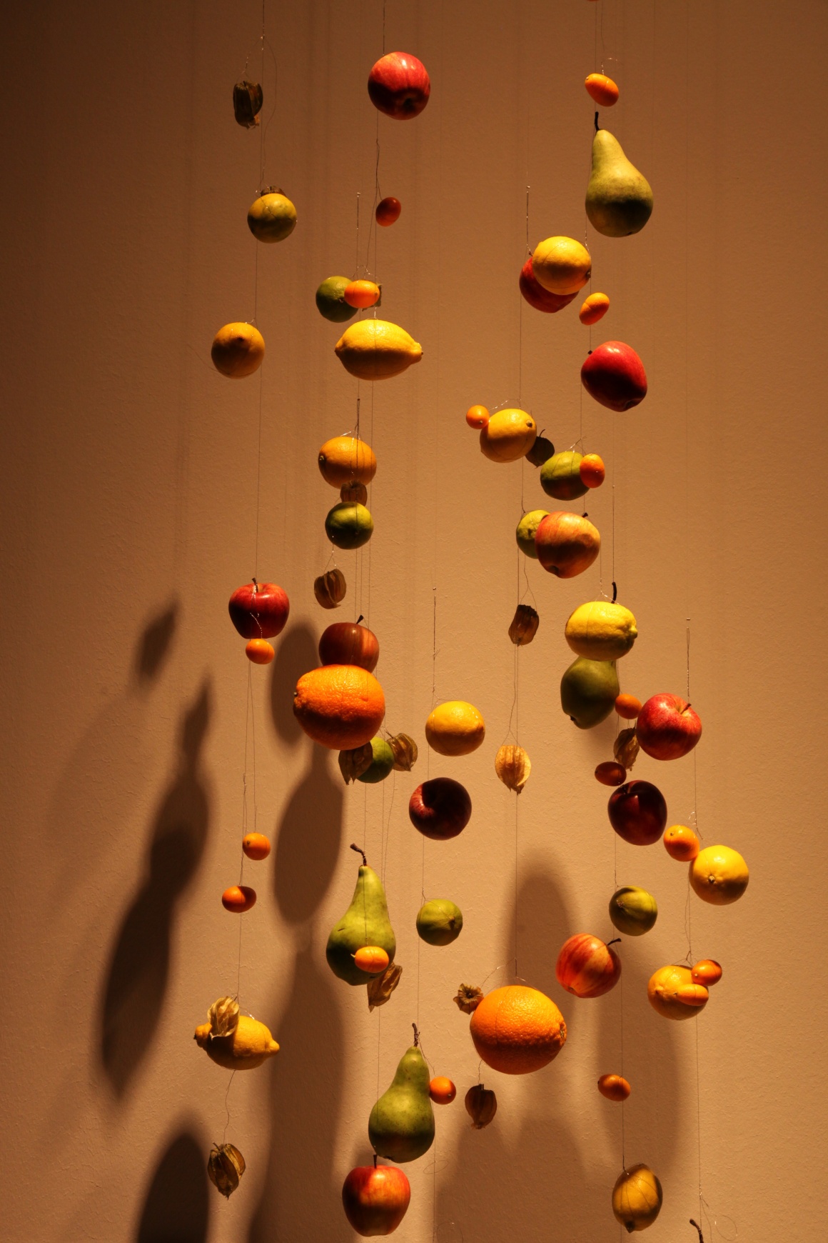 Fruit hanging from the roof creating shadows